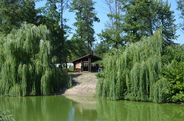 Розваги (колонка 3)